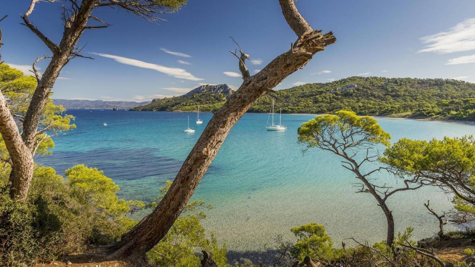 Calme Et Confort En Rez-De-Jardin La Londe-les-Maures Luaran gambar